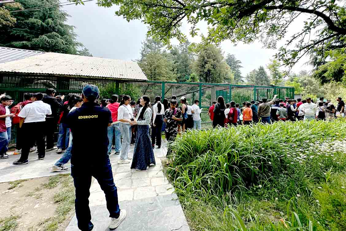 Exploring, Learning, and Bonding: Educational Tour to Shimla-Kufri-Naldehra Classes VI–VIII